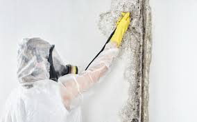 Best Industrial Mold Remediation in Crooked River Ranch, OR